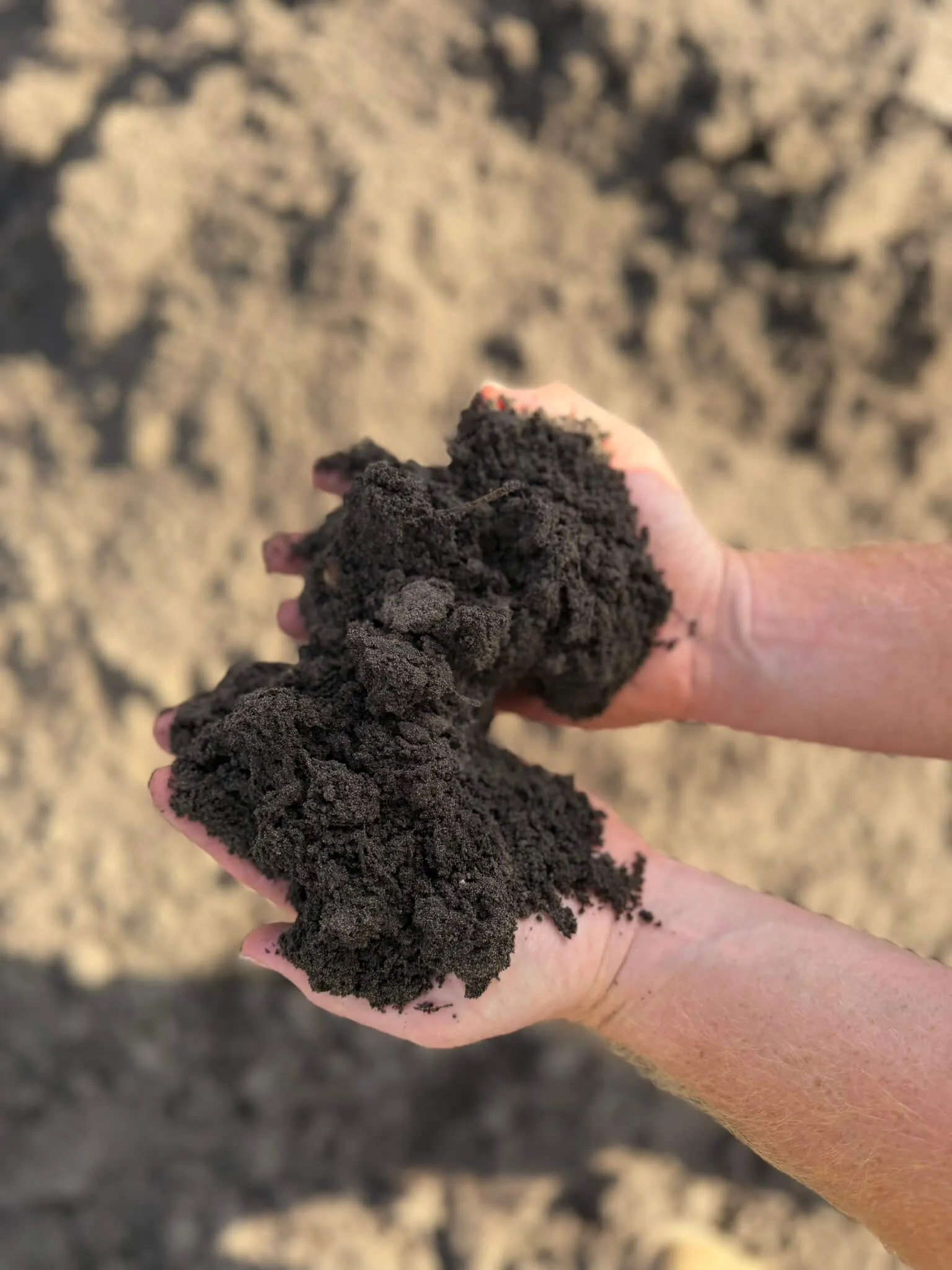 Organic vs. Regular Topsoil: Which Is Best?